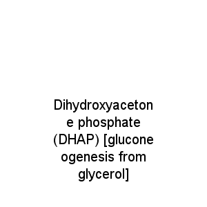 Dihydroxyacetone phosphate (DHAP) [gluconeogenesis from glycerol]